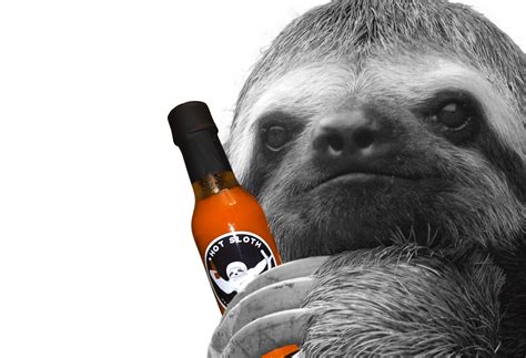 hot sloth hot sauce